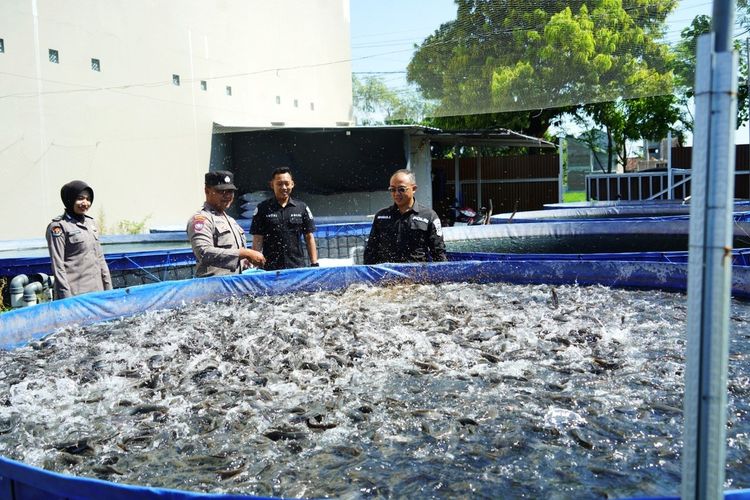 Kisah Aipda Tommy Ubah Pekarangan Rumah Jadi Tempat Budidaya Lele
