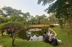 Taman Spathodea di Jakarta Selatan: Lokasi, Jam Buka, dan Fasilitas