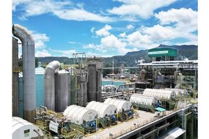 Siapa Pemilik PT Toba Pulp Lestari? Perusahaan yang Dituding Jadi Salah Satu Penyebab Banjir di Sumut