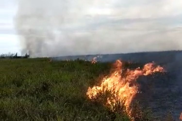 Kebakaran di hutan Distrik Tomage, Fakfak 