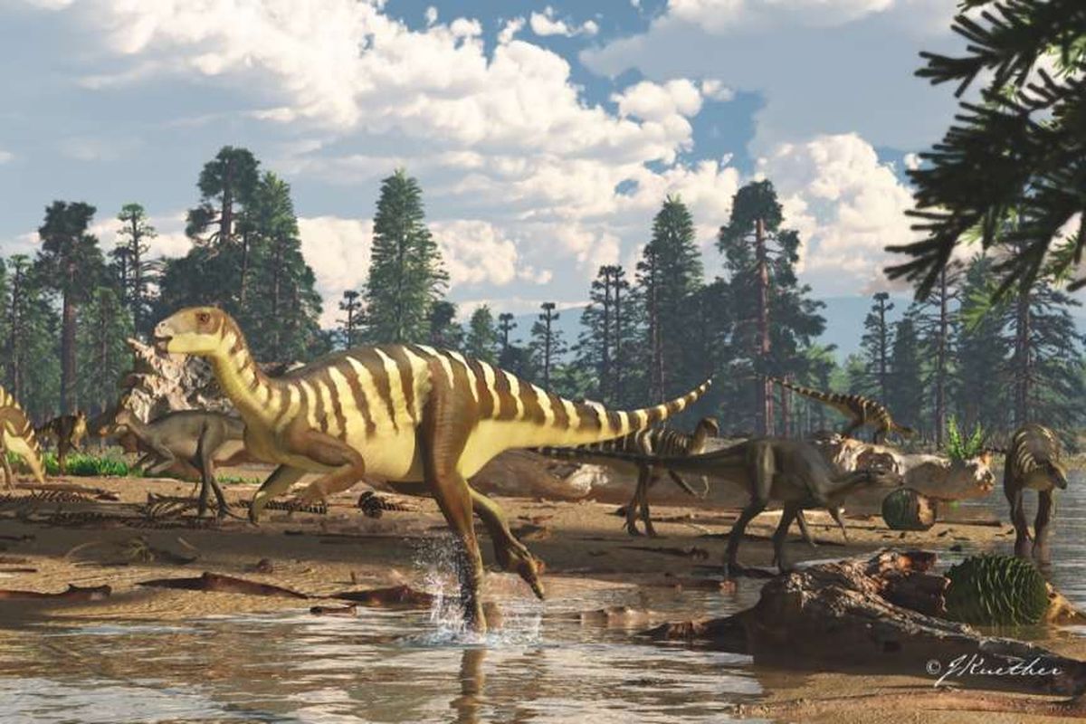 ilustrasi Galleonosaurus dorisae