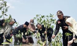 Cegah Polusi hingga Banjir, Dompet Dhuafa Tanam 1.000 Mangrove di Pandeglang