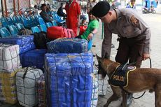 Anjing Pelacak Bantu Pencarian Seorang Korban Tanah Longsor di Manado 