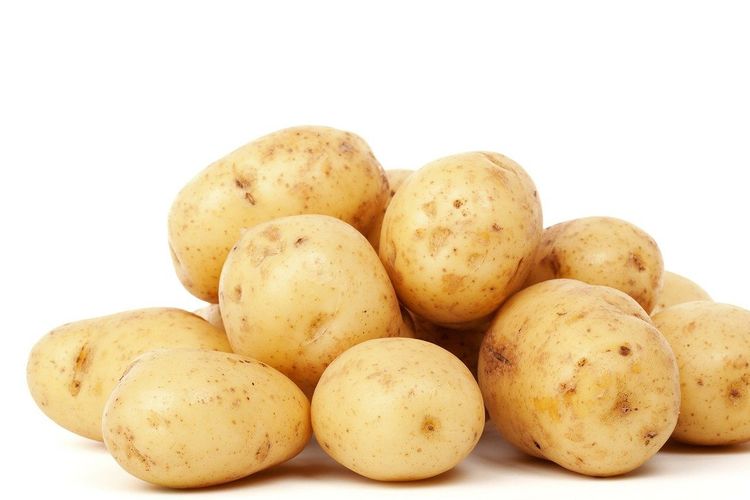 Pilih umbi yang mulus, dan simpan di kabinet dapur hingga bertunas. Setelah itu, baru kentang siap ditanam.