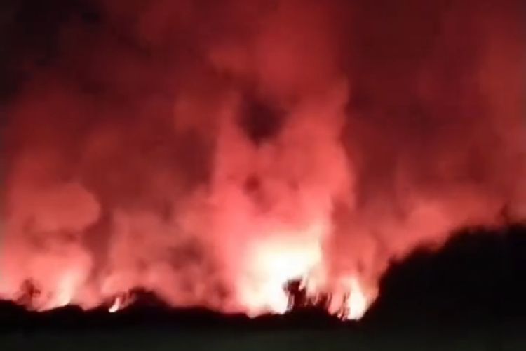 Kebakaran Lahan Kosong di Tallasa City Makassar Viral, Diduga akibat Warga Bakar Semak