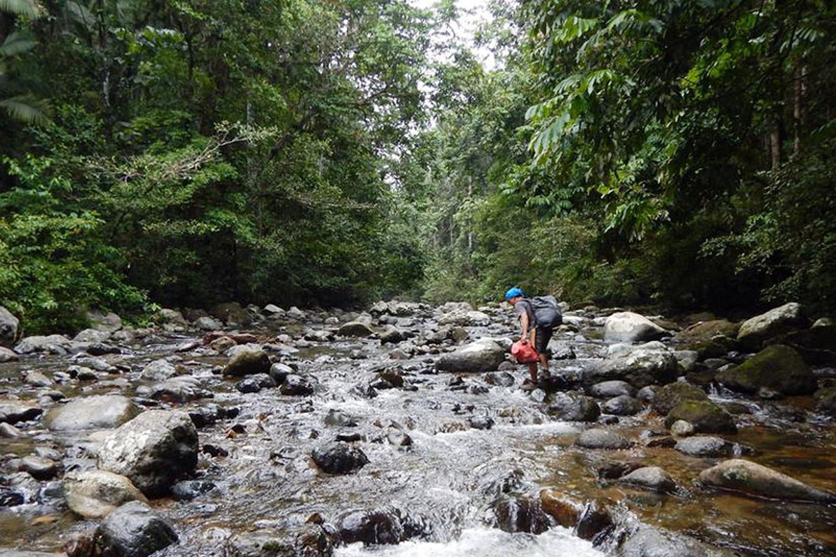 Pemanfaatan hasil hutan bukan kayu seperti ijuk, woka dan aren di Gorontalo diharapkan hutan tetap terjaga kelestariannya dan masyarakat di sekitarnya menikmati hasil pendapatannya dari hutan