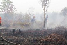 Kebakaran Lahan Meluas, Petugas Pemadam Mulai Kewalahan