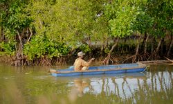 Punya Peran Vital, PGN Tanam Ribuan Mangrove di Mangkang Wetan Semarang