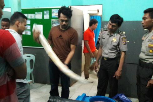 Penyidik BPPLH Duga Ada Spesialis Pemburu Gajah di Malaysia