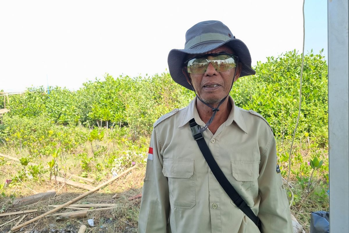 Sururi, pejuang lingkungan sekaligus pelestari mangrove dari Kecamatan Tugu, Kota Semarang, Jawa Tengah.