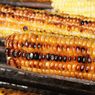 6 Tips Masak Jagung Bakar agar Hasilnya Matang Sempurna