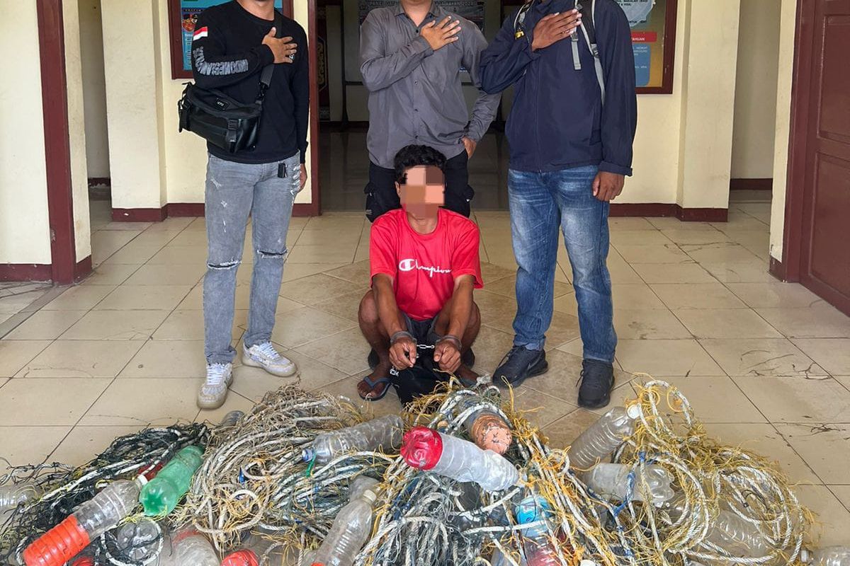 Gagal Panen karena Rumput Laut Dicuri, Petani di Sebatik Polisikan Teman