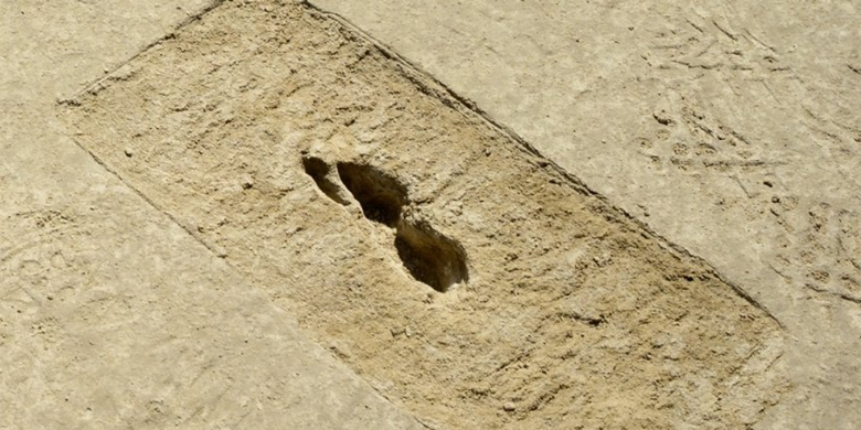 Penampakan jejak kaki yang dijuluki sebagai jejak kaki hantu di gurun Great Salt Lake 
