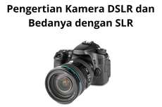 Pengertian Kamera DSLR dan Bedanya dengan SLR