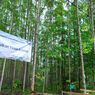 Berlibur ke IKN Bisa Tanam Pohon Endemik