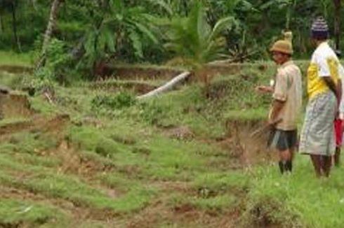 Tak Cuma di Jawa, Fenomena Tanah Bergerak Juga Terjadi di Aceh