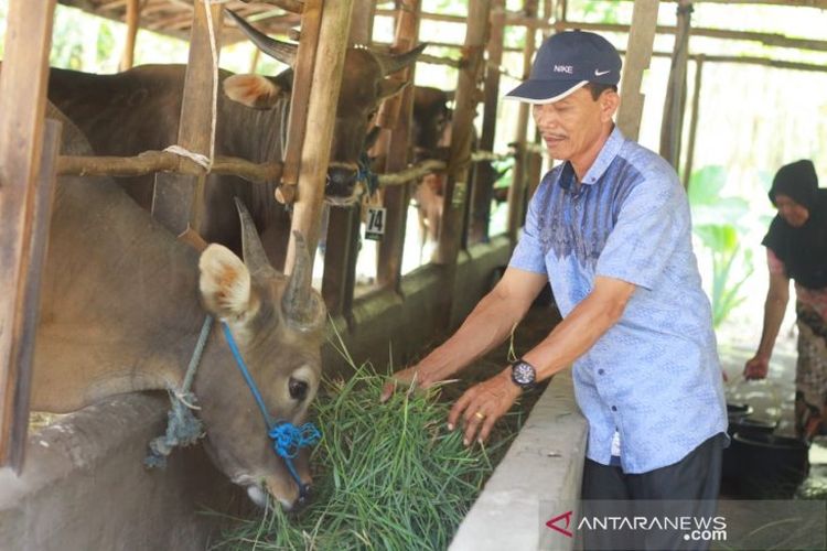 Ahmad Umar (54), Kepala Desa Sidomulyo, Kecamatan Wanaraya.