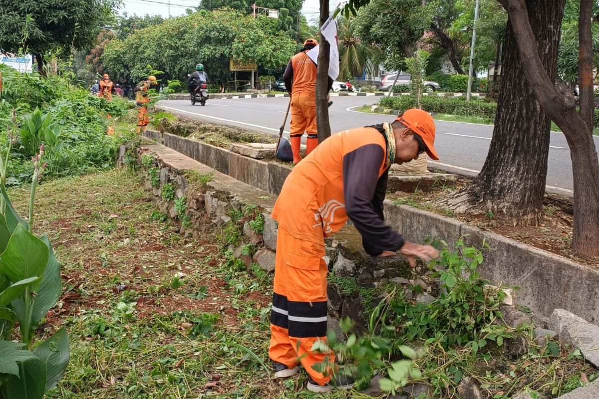 Petugas PPSU saat sedang membersihkan gulma di tepat di samping Stasiun Cakung, Jakarta Timur menuju ke wilayah Kota Bekasi, Selasa (29/11/2022).