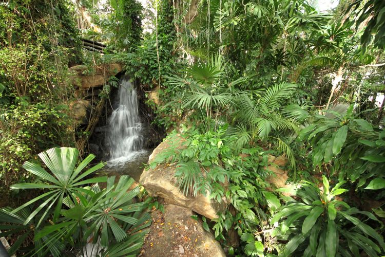 Salah satu sudut Nong Noch Tropical Garden di Pattaya, Thailand.