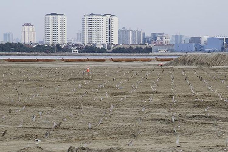 Suasana proyek pembangunan reklamasi Teluk Jakarta di kawasan Pantai Utara, Jakarta Utara, Rabu (11/5/2016). Kementerian Lingkungan Hidup dan Kehutanan menghentikan sementara proyek reklamasi Pulau C, D, dan G, lantaran dinilai melanggar izin dan perundang-undangan mengenai lingkungan hidup.