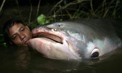 Penghidupan Jutaan Orang Asia Tenggara dari Sungai Mekong Terancam Tambang Ilegal di Myanmar
