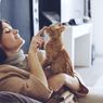 5 Cara Menunjukkan Kasih Sayang kepada Kucing