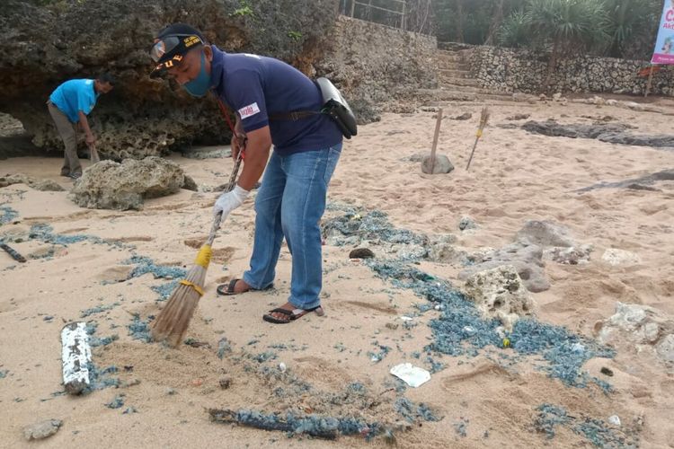 Petugas SAR Satlinmas Wilayah II Gunungkidul Membersihkan Ubur-ubur di Pantai  Kamis (2/7/2020)