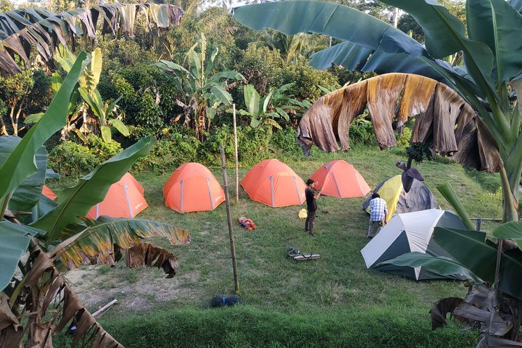 Tenda-tenda yang didirikan di Desa Batu Mekar, Lombok Barat, Nusa Tenggara Barat. Berkemah bersama keluarga bisa menjadi pilihan kegiatan di lokasi ini karena pengunjung dapat melihat pemandangan persawahan yang hijau dan mendengar gemericik air serta suara kodok di malam hari. 