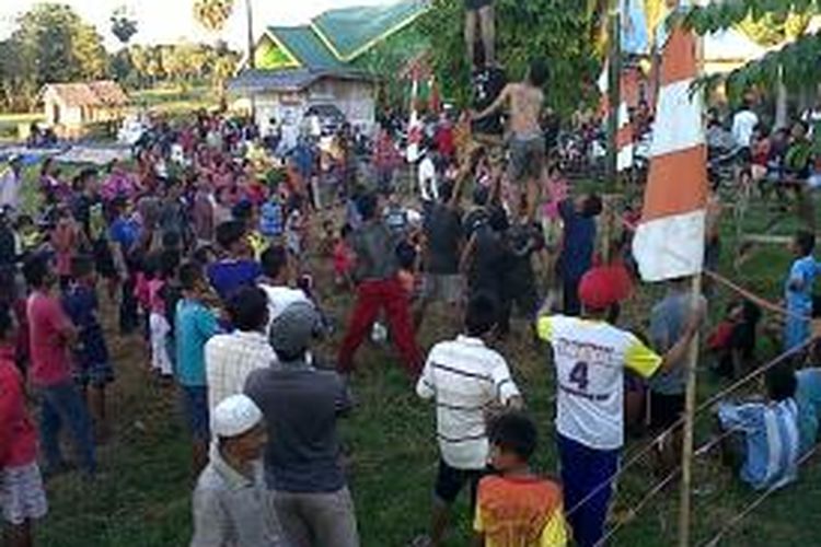 Para petani di Kabupaten Bone, Sulawesi Selatan berupaya memanjat pinang sebagai rangkaian dari perayaan HUT RI ke 68 yang sekaligus pesta panen mereka. Minggu, (18/08/2013).