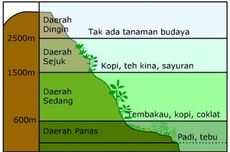 4 Klasifikasi Iklim Menurut Junghuhn