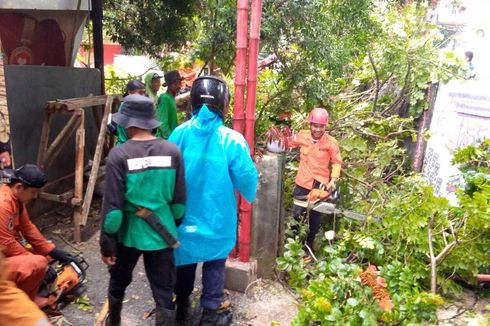Angin Kencang Terjang 25 Lokasi di Bogor Raya, 2 Pemotor Tertimpa Pohon Tumbang