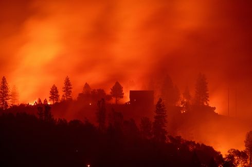 Korban Tewas Capai 40 Orang Lebih, Kebakaran di California Paling Mematikan
