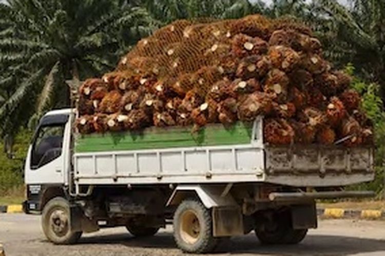 A truckload of palm oil