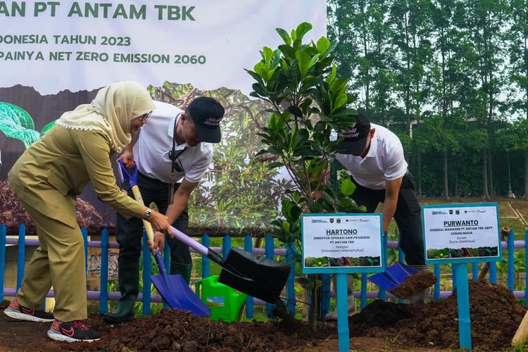 PT Aneka Tambang Tbk (Antam) melalui Unit Bisnis Pengolahan dan Pemurnian (UBPP) Logam Mulia melakukan penanaman 2.000 pohon di wilayah Jakarta Timur (Jaktim) dalam rangka memperingati Hari Menanam Pohon Indonesia yang jatuh pada 28 November.