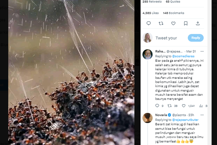 Tangkapan layar unggahan foto semut yang menyemburkan air.