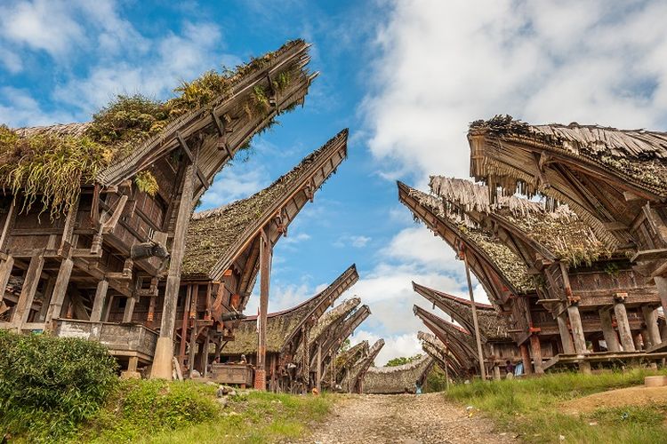 Rumah adat Toraja, Tongkonan DOK. Shutterstock/javerman