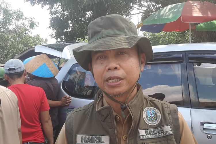Kepala Dinas Ketahanan Pangan dan Pertanian Kabupaten Lumajang Hairil Diani di Pasar Hewan Lumajang, Senin (19/2/2024)