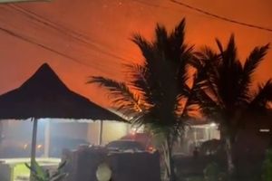 Padamkan Karhutla di 3 Lokasi, 3 Petugas Damkar Palembang Pingsan Kelelahan