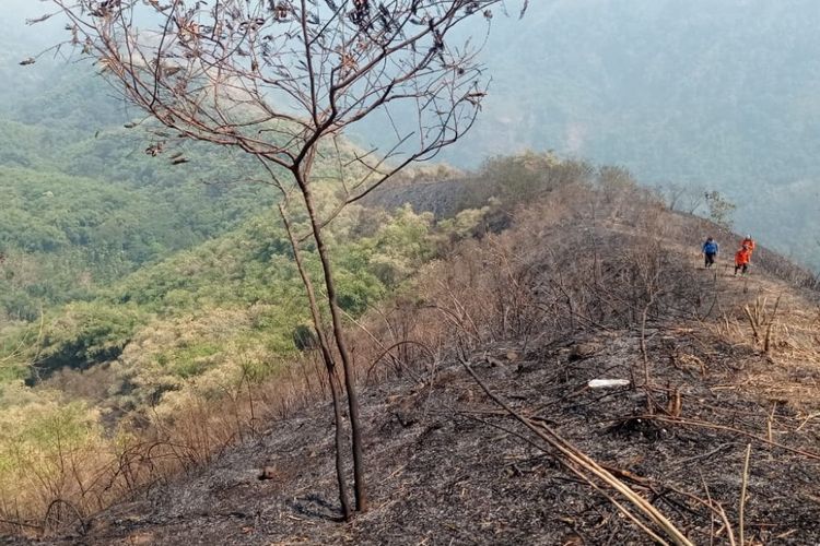 Petugas melakukan penyisiran di lokasi kebakaran hutan kawasan Gunung Anjasmoro, Wonosalam, Kabupaten Jombang, Jawa Timur, Senin (30/10/2023).