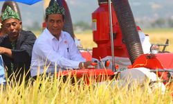 Sektor Pertanian Beri Kontribusi Positif untuk Pertumbuhan Ekonomi RI