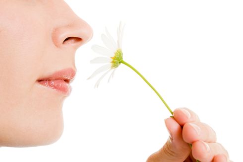 Misteri Tubuh Manusia: Hidung Perempuan Lebih Sensitif Dibanding Pria
