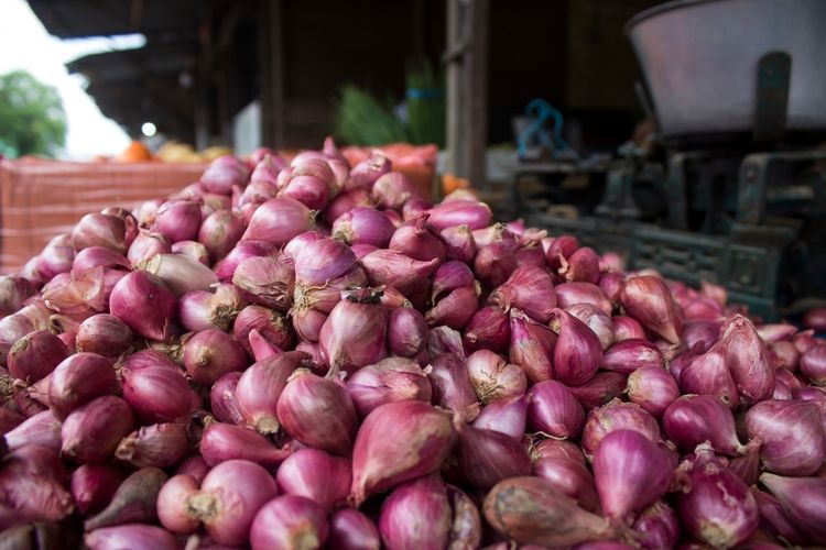 Ilustrasi bawang merah dapat menyembuhkan penyakit apa saja?