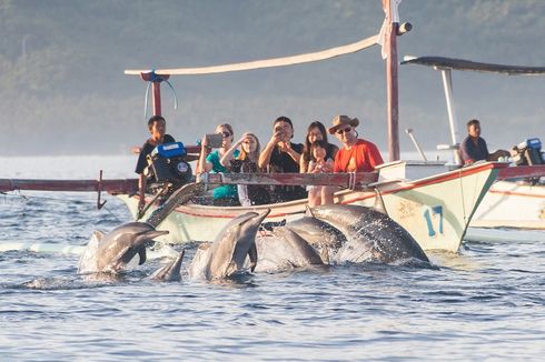 Pantai Lovina, Serunya Lihat Kawanan Lumba-Lumba di Bali