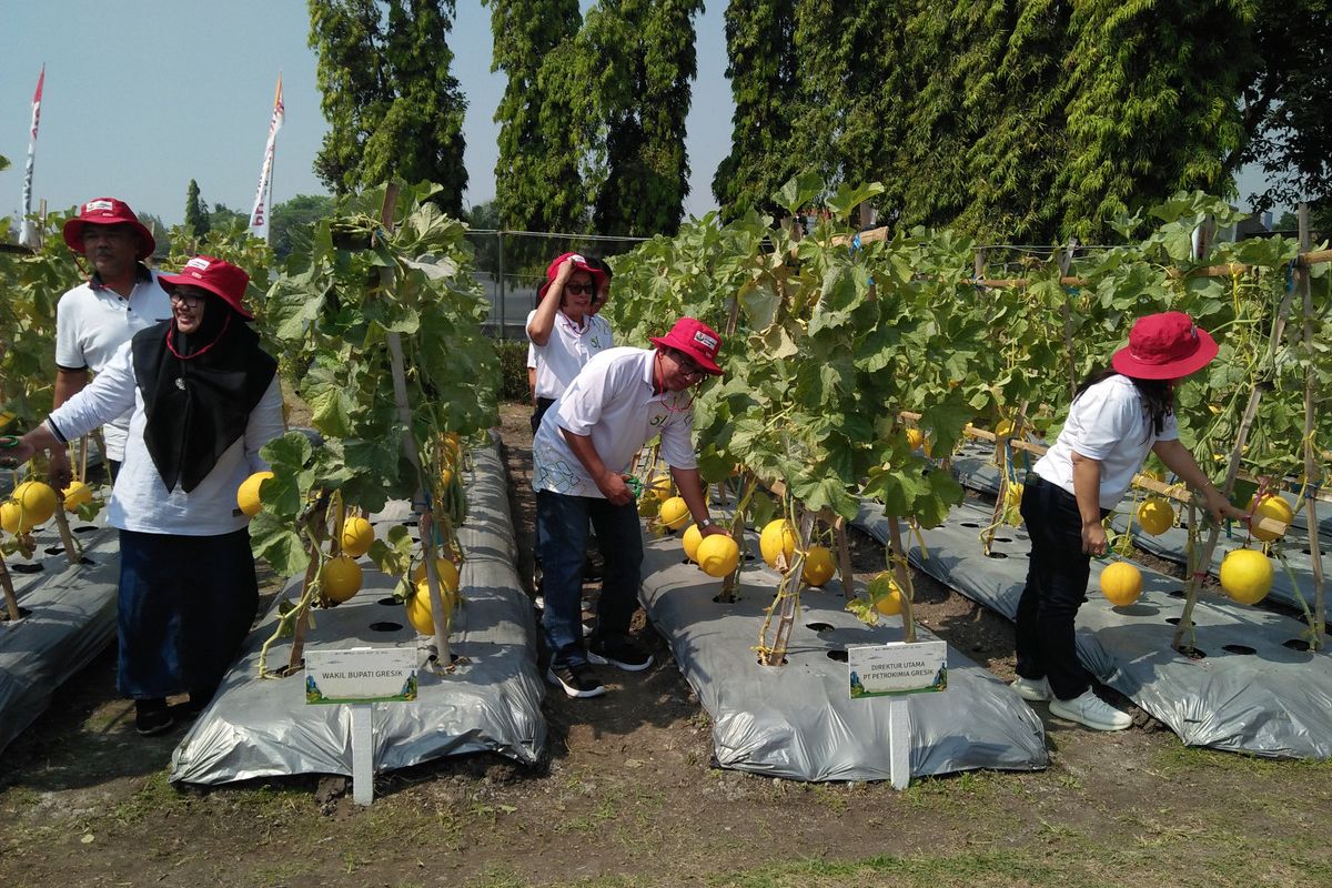 Direktur Utama Petrokimia Gresik Dwi Satriyo Annurogo (tengah) dan Wakil Bupati Gresik Aminatun Habibah (dua kiri), saat pembukaan Petro Agrifood Expo (PAE), Jumat (21/7/2023).