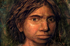 DNA Manusia Purba Denisovan Membentuk Sistem Kekebalan Orang Papua