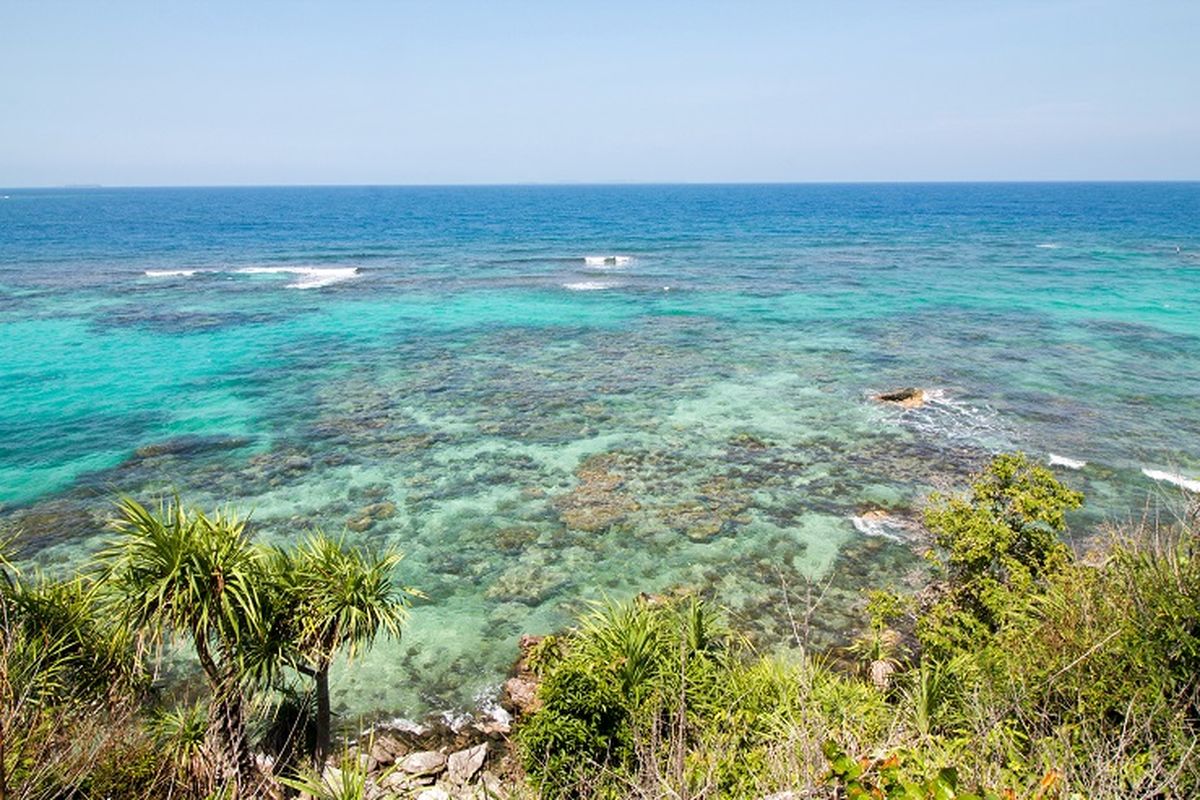 Krisis iklim memutihkan terumbu karang di Kepulauan Karimunjawa. Nelayan juga terdesak kapal besar dan alat tangkap tak ramah lingkungan.