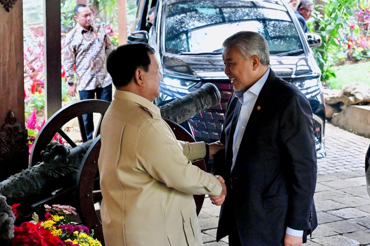 Di Depan Wakil PM Malaysia, Prabowo Mengaku Siapkan Strategi Cegah Karhutla