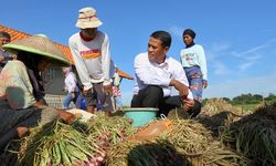 Ekspor Bawang Merah ke 6 Negara, Indonesia Lakukan Serangan Balik