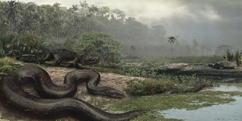 Ilustrasi Titanoboa cerrejonensis, beratnya mencapai 1,25 ton dengan panjang mencapai 12 meter. 