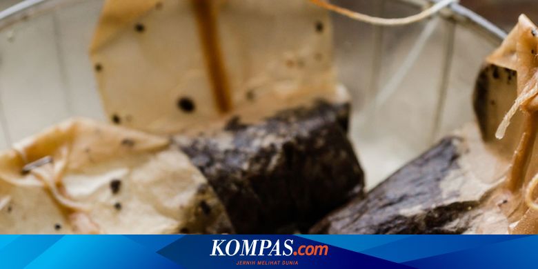 Kantong Teh Celup Mengandung Miliaran Mikro Plastik, Fakta Mengkhawatirkan ini Dibongkar Pakar UGM
